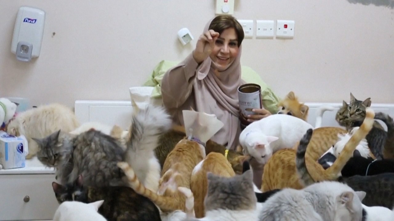 Feel-Good-Countdown, 14: Mus-Cats