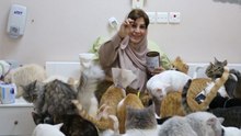 Feel-Good-Countdown, 14: Mus-Cats