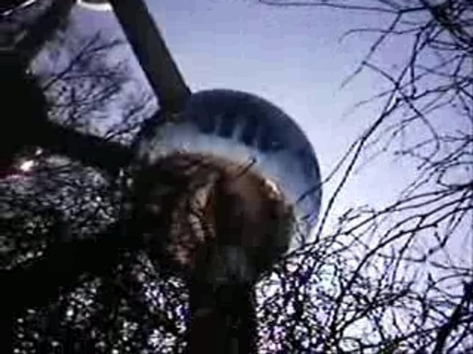 BELGIQUE INSTINCT 2 (TEASER)