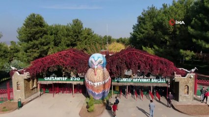 Avcılardan ve kaçakçılardan kurtarılan hayvanlar Gaziantep’te hayata tutunuyor