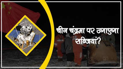 क्या चांद की मिट्टी पर उगाई जा सकती हैं सब्जियां? चांद से मिले नमूने पर रिसर्च कर रहा China