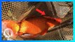 Ikan Mas Raksasa Ditemukan di Danau Carolina Selatan - TomoNews