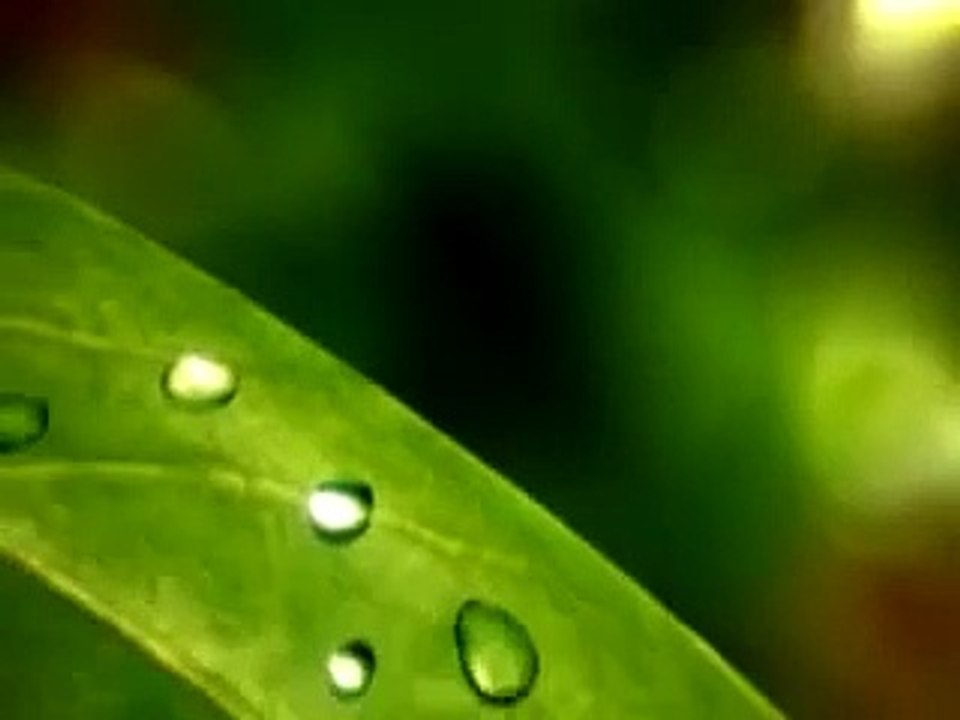 test video