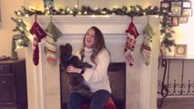 Dog Howls And Barks to Join Owner While She Sings Christmas Song