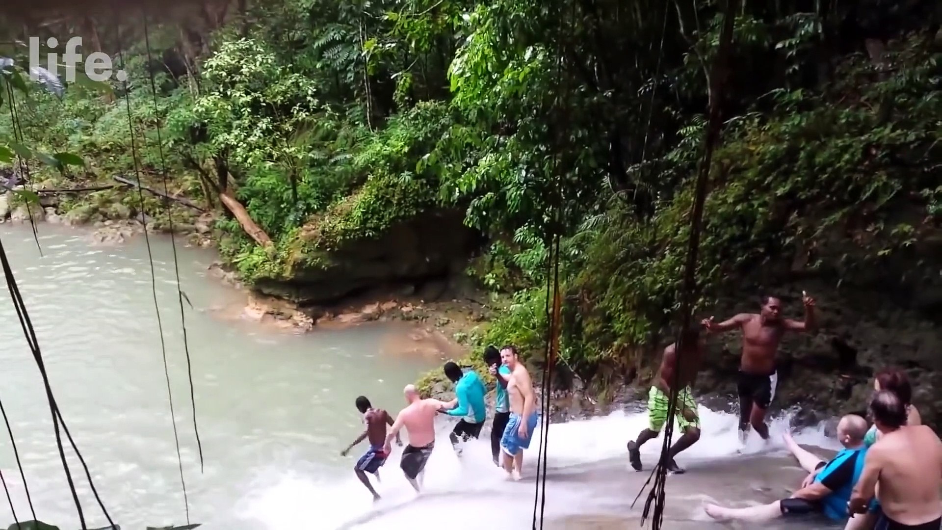 FUNNY MOVIES - FUNNY VIDEOS - 1