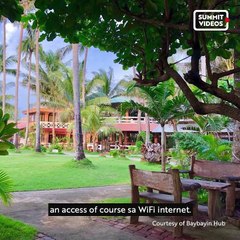 Work from the Beach Could Be the Future of WFH