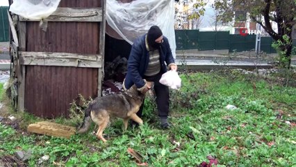 Yaşlı adam emekli maaşının çoğunu sokak hayvanları için harcıyor