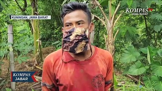 Misterius! 49 Ternak di Kuningan Mati Mendadak