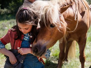 Mi amigo pony Película  Tráiler