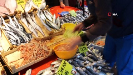 Balık tezgahlarında hafta içi bereketi