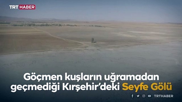 Göçmen kuşlar Seyfe Gölü’ne konaklamadan yollarına devam ediyor