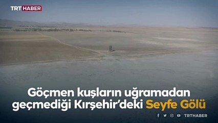 Göçmen kuşlar Seyfe Gölü’ne konaklamadan yollarına devam ediyor