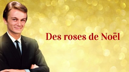 Claude François - Des roses de Noël