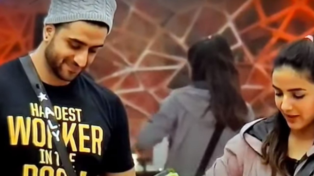 Bigg Boss 14:  Aly Goni और Jasmin Bhasin की पकड़ी गई चोरी; शादी की बात करते दिखे दोनों | FilmiBeat