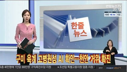 [한줄뉴스] 구미 육계 고병원성 AI 확인…천안 거위 확진 外