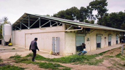 Plus belle la vie : Lola, le drame