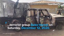 Nigerian troops kill 20 Boko Haram terrorists in Borno
