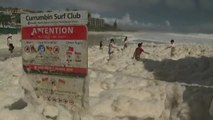 Un espumoso mar atrae a familias australianas a bañarse en la orilla