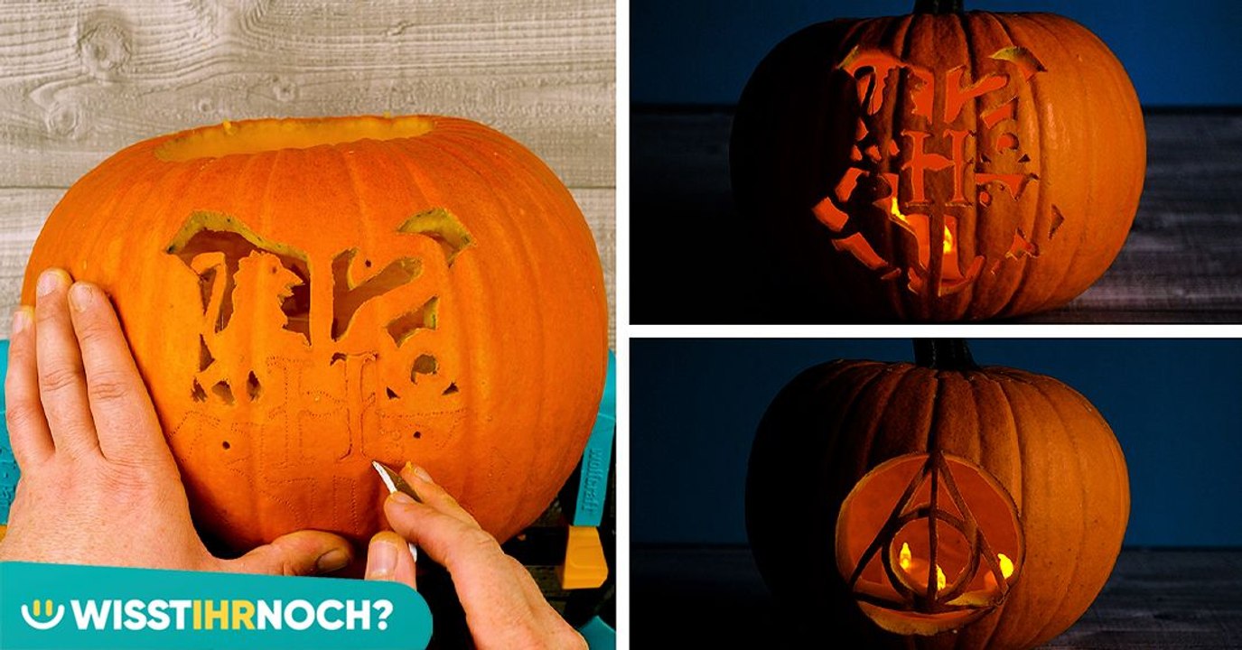 Harry Potter-Fans aufgepasst: So muss ein Kürbis aussehen!