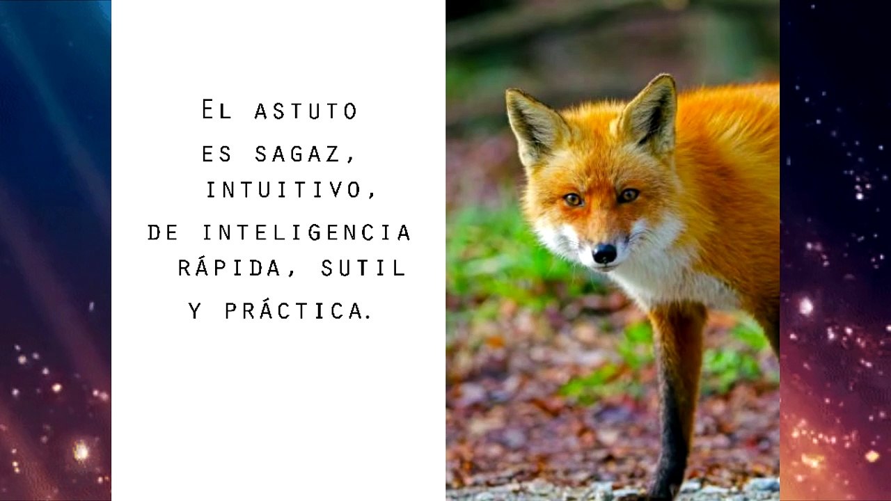 Diferencia entre fracaso y derrota (Reflexiones) | Yohan Cala