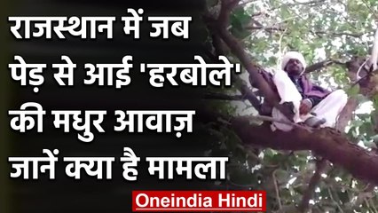 Rajasthan में जब इस पेड़ से आई Bundela Harbolon की आवाज तो चौंक गया हर कोई | वनइंडिया हिंदी