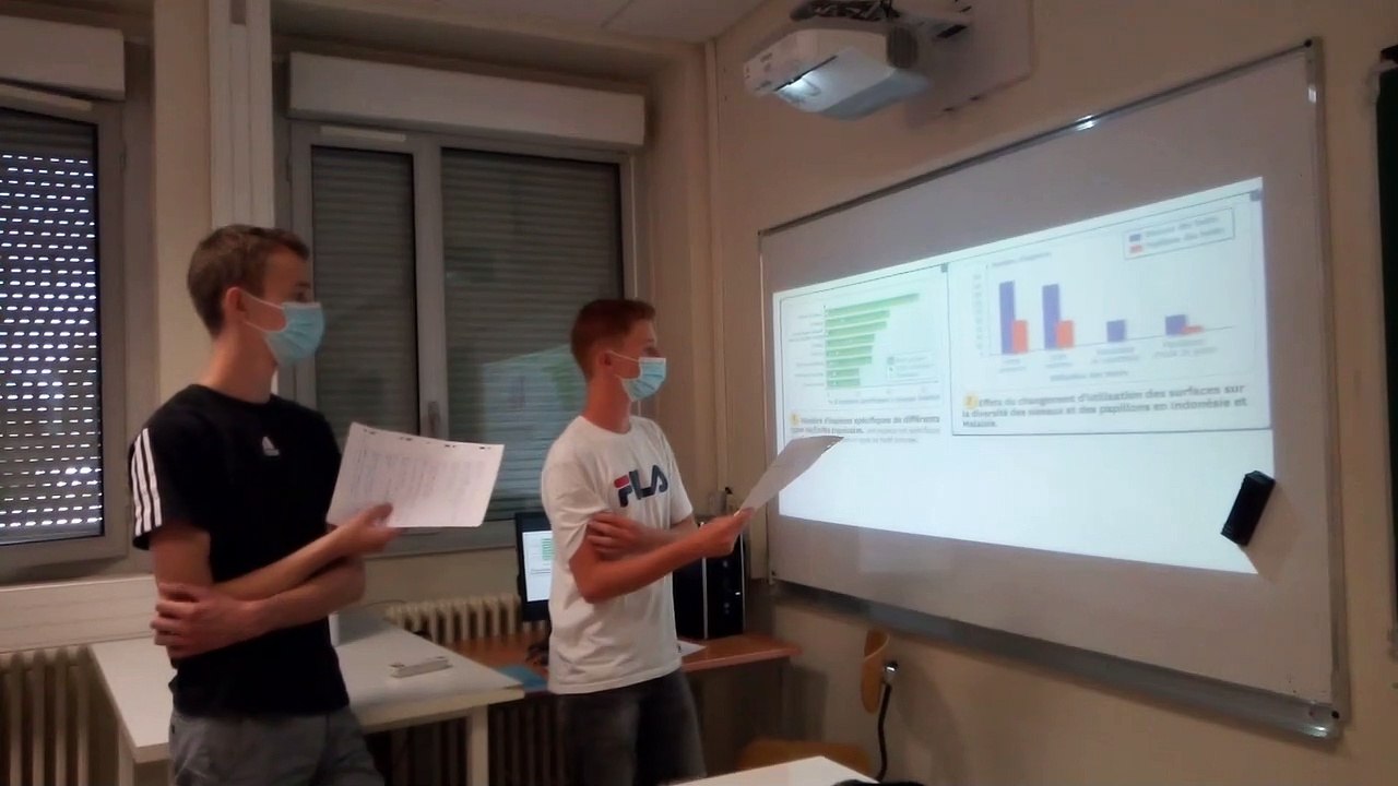 Vidéo 2 - présentation orale de fin de TP - érosion de la biodiversité