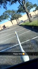 Bird Brings Its Flock for Some Free McDonald's