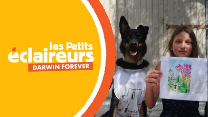 Avec son association Darwin Forever, cette fille de 12 ans aide les animaux en refuge