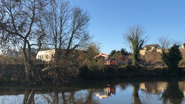 Arbres abattus le long de la Vilaine : une étape « nécessaire » pour la Région