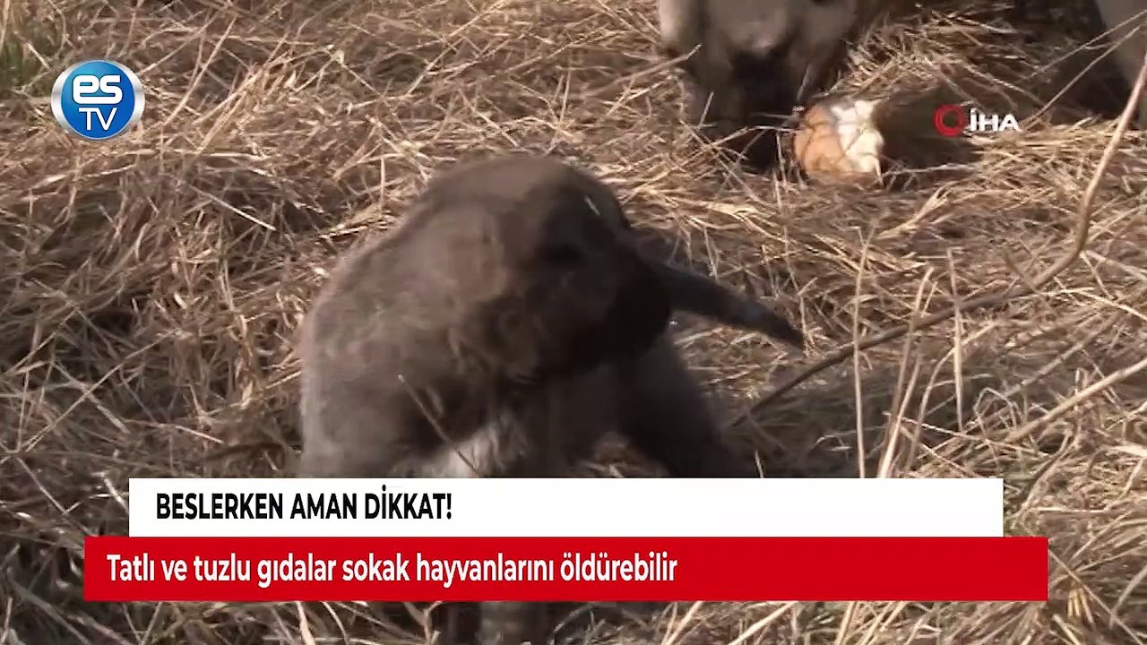 Beslerken aman dikkat!