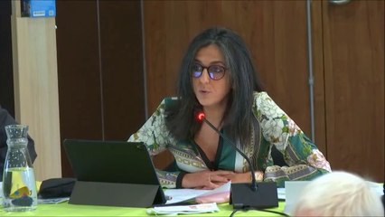 Dénia HAZHAZ. Amendement au projet de budget primitif 2021 de l'action sociale. Session des 14 et 15 décembre 2020