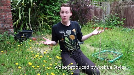 THIS is exactly what just one weed has to offer...