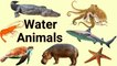 Water Animals Name Hindi and English|जल में रहने वाले जीवों के नाम | Water Animals