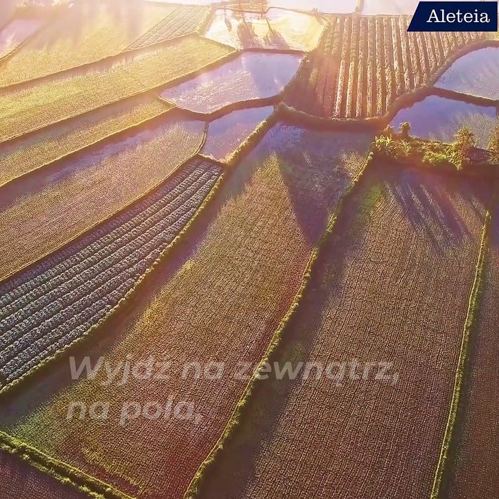 „Myśl o całym pięknie, które rośnie w tobie”. Inspirujące słowa Anny Frank