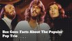 Bee Gees: Trivia & Facts About The Famous Pop Trio