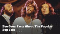 Bee Gees: Trivia & Facts About The Famous Pop Trio