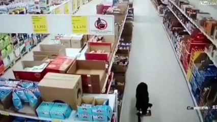 On a repéré le voleur... et c'est un chien