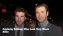 These Celebrity Siblings Look Very Much Alike
