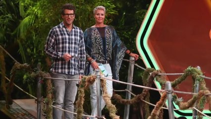 ER soll der allererste Dschungelcamp-Kandidat sein