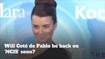 Will Coté de Pablo be back on 'NCIS' soon?