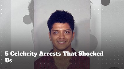 5 Celebrity Arrests That Shocked Us