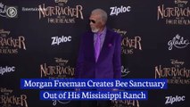 Morgan Freeman Turns His 124-Acre Mississippi Ranch Into Bee Sanctuary