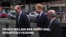 Prince William and Prince Harry Are Reportedly Feuding