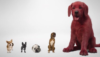 Clifford the Big Red Dog - Teaser Trailer (English) HD