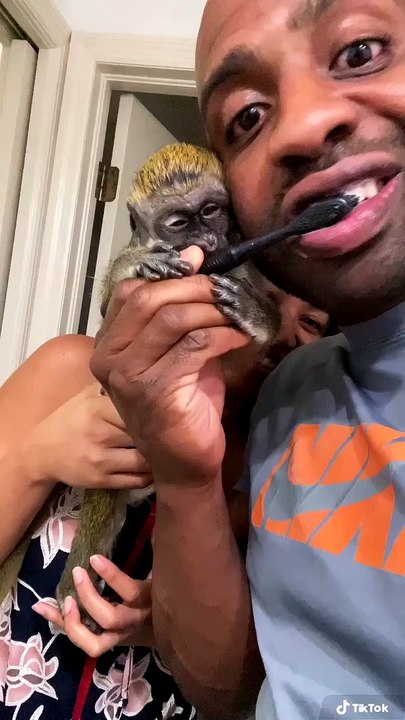 Monkey Trying to Help Brush Teeth