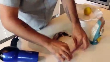 Kararan muz nasıl sarı haline döndürülür?