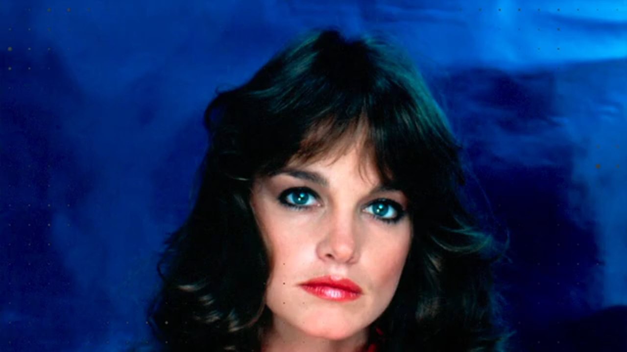 „Denver-Clan“: Das macht Pamela Sue Martin heute