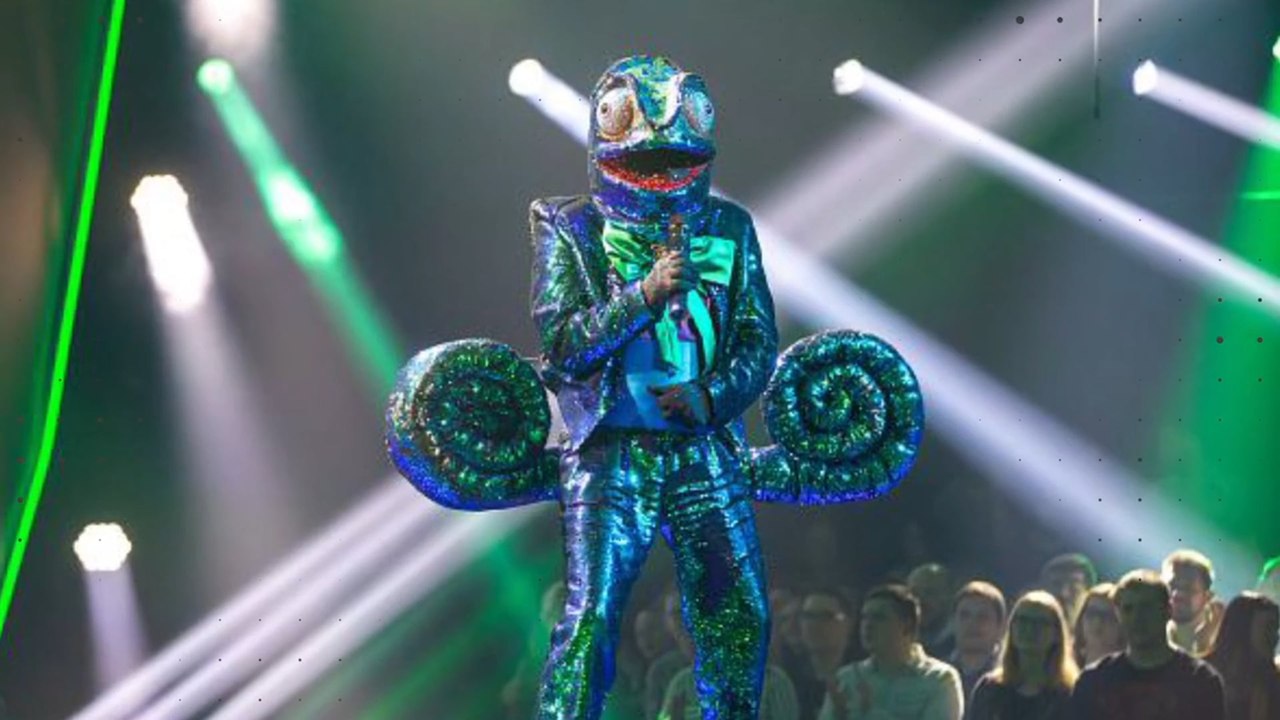 Bei „The Masked Singer“-Chamäleon sind sich alle einig - es ist...