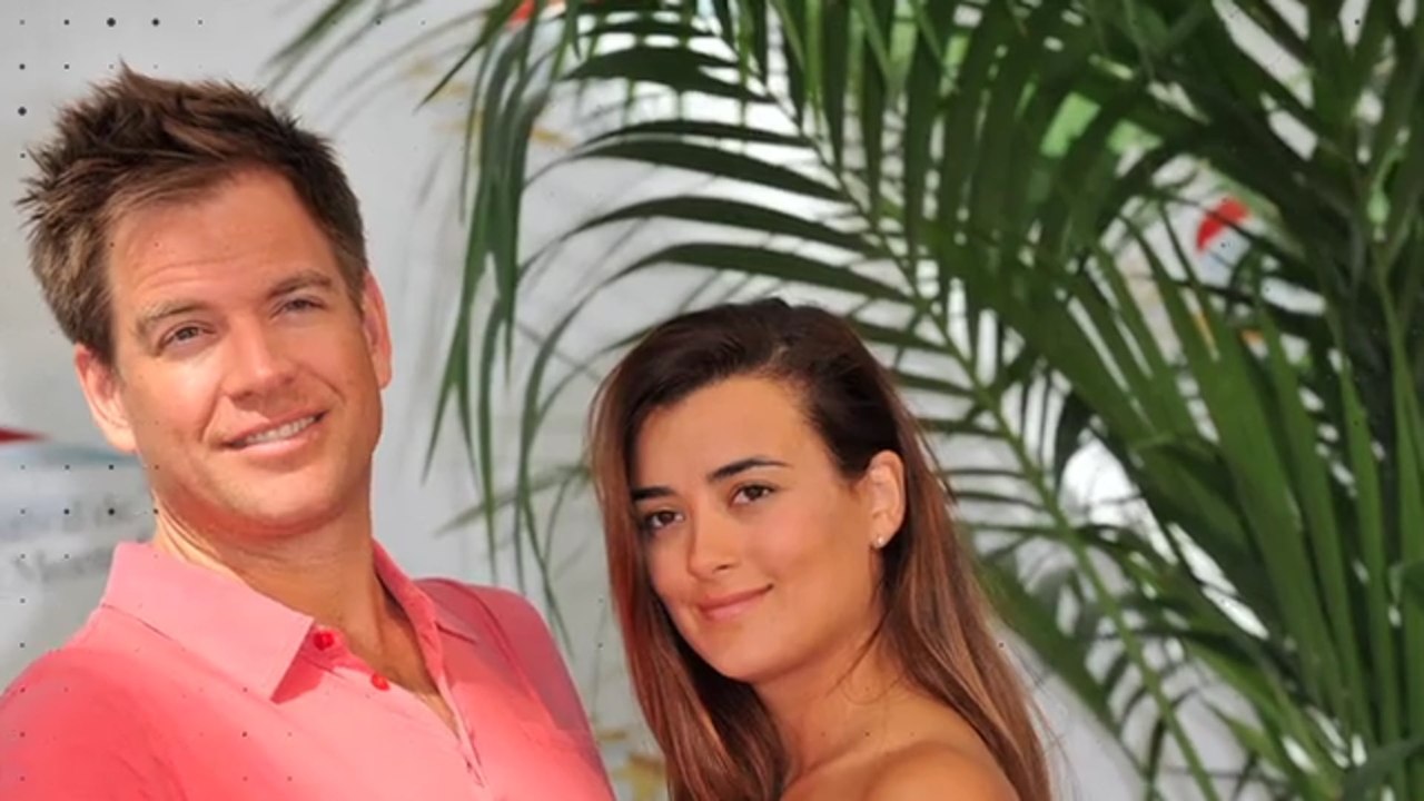 Endlich! Jetzt äußert sich Cotè de Pablo zu Michael Weatherlys NCIS-Comeback