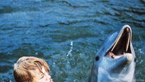 „Flipper”: Das wurde aus Kinderstar Luke Halpin